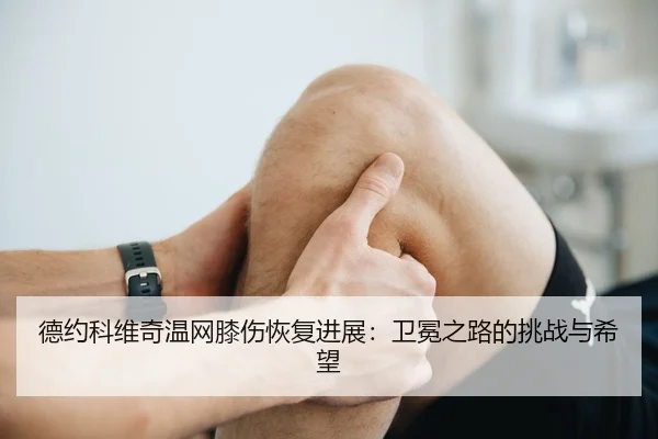 de-yue-ke-wei-qi-wen-wang-xi-shang-hui-fu-jin-zhan-wei-mian-zhi-lu-de-tiao-zhan-yu-xi-wang-2-654.jpg