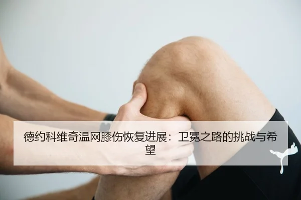 de-yue-ke-wei-qi-wen-wang-xi-shang-hui-fu-jin-zhan-wei-mian-zhi-lu-de-tiao-zhan-yu-xi-wang-3-717.jpg