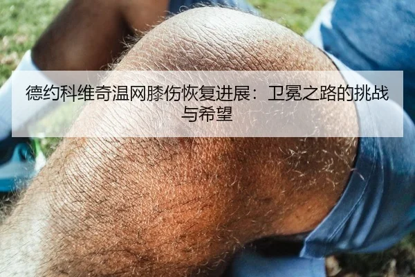 德约科维奇温网膝伤恢复进展：卫冕之路的挑战与希望
